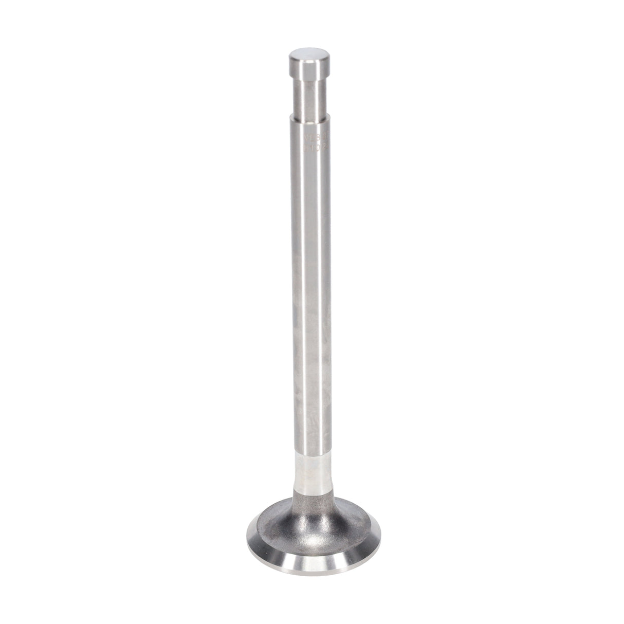 Exhaust Valve