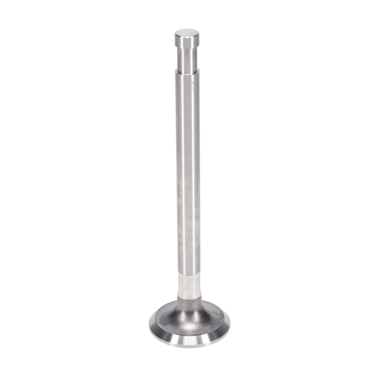 Exhaust Valve