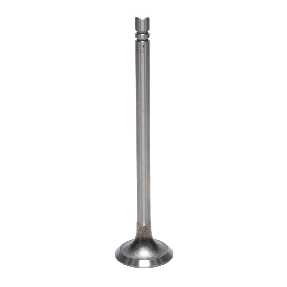 Exhaust Valve