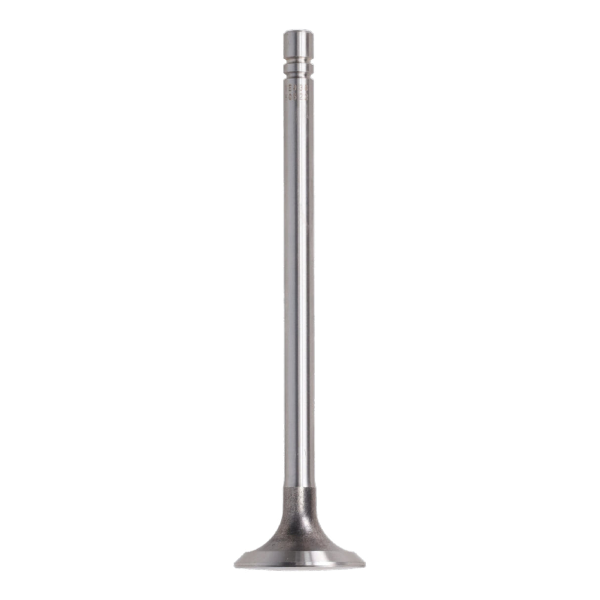 Exhaust Valve