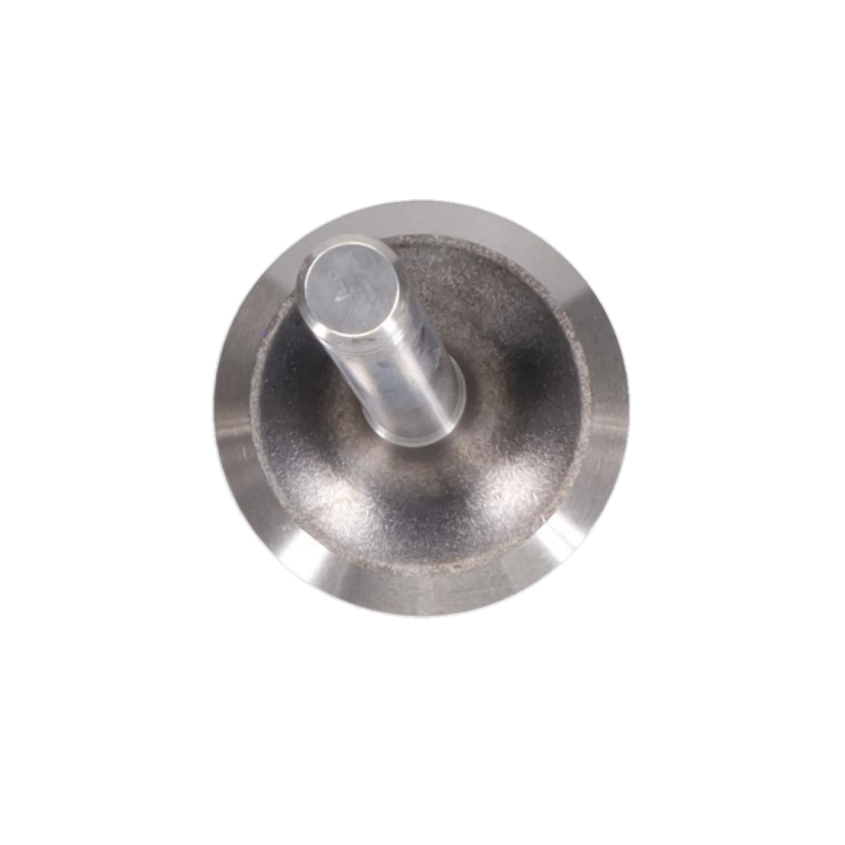 Exhaust Valve