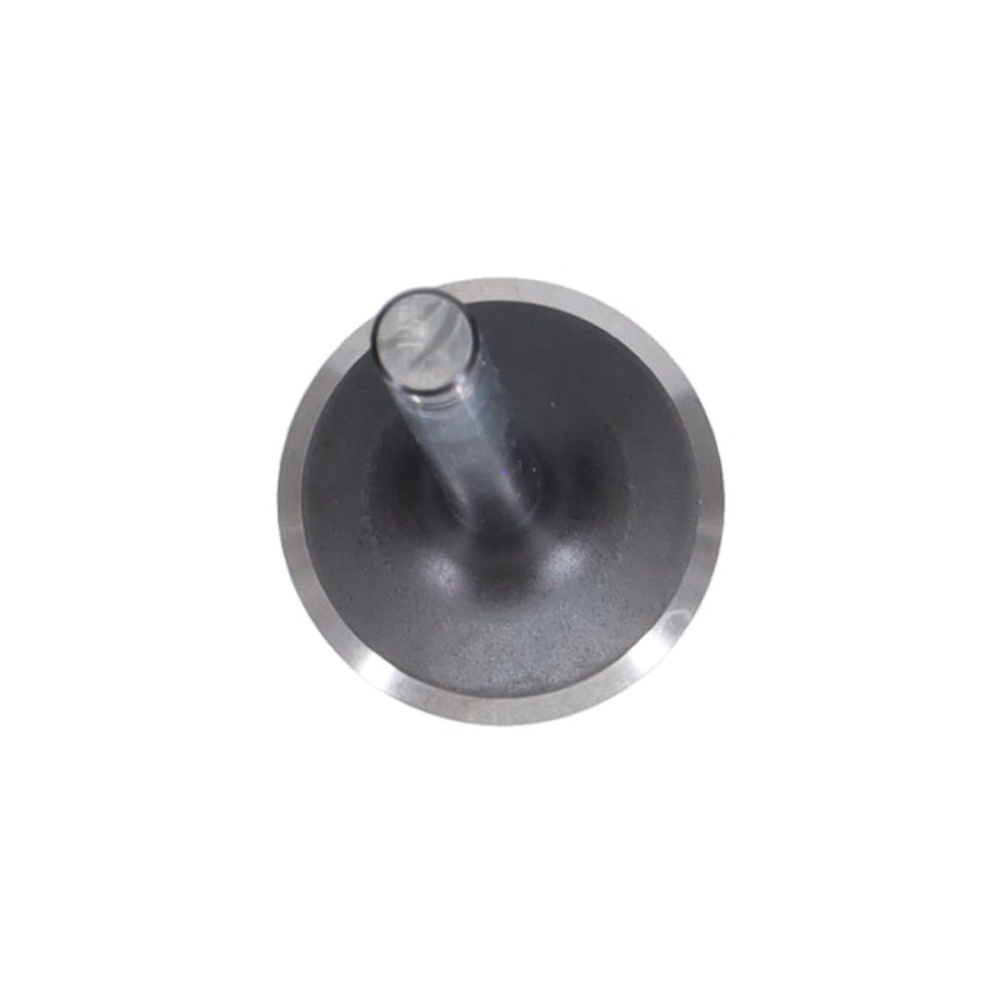 Exhaust Valve