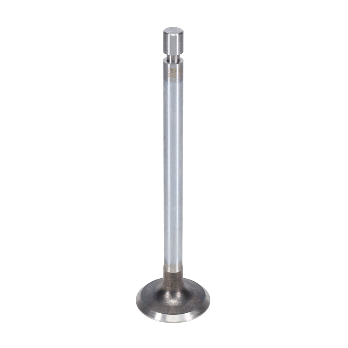 Exhaust Valve