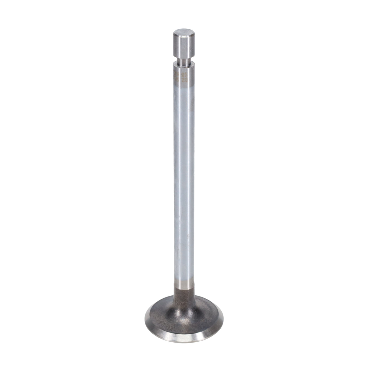 Exhaust Valve