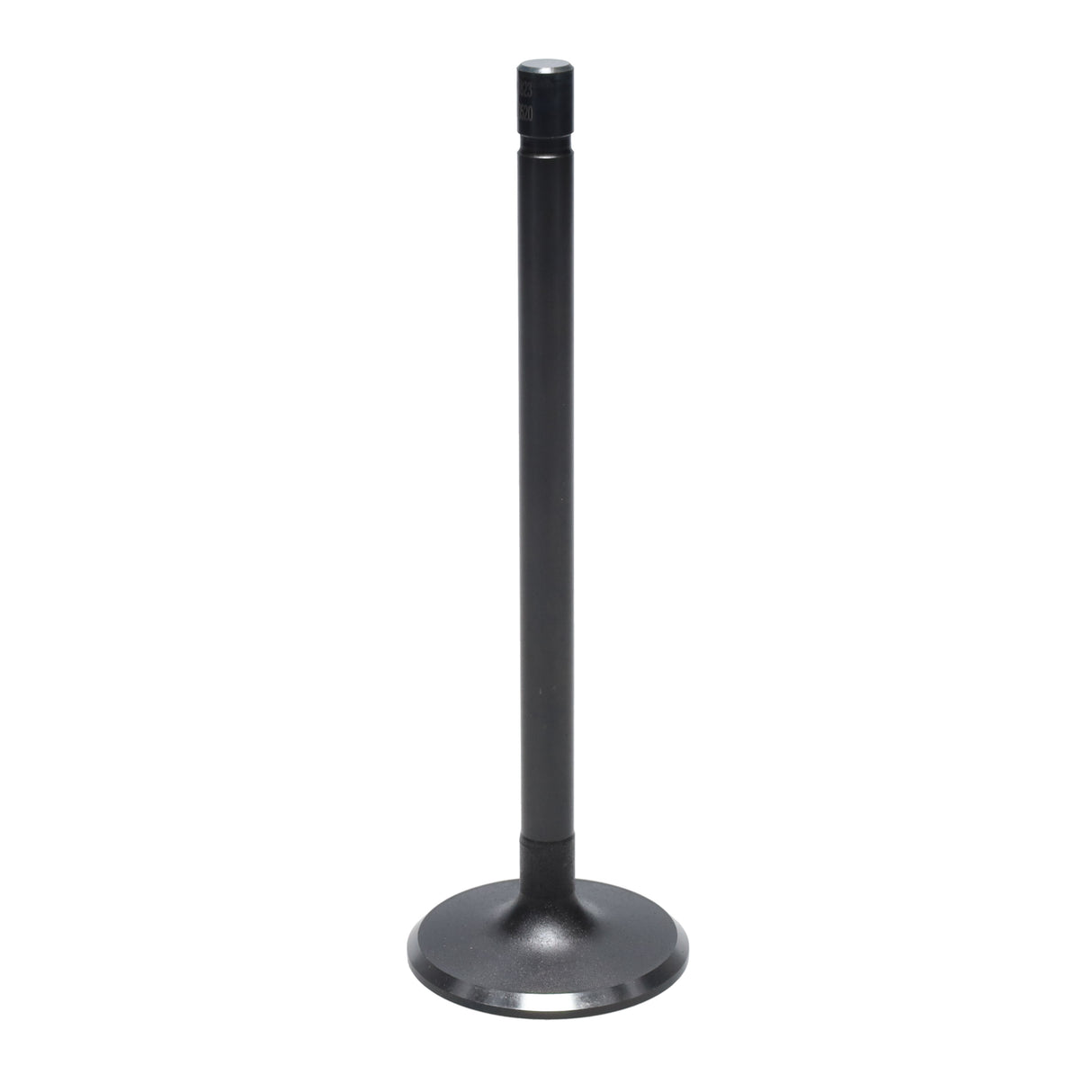Intake Valve