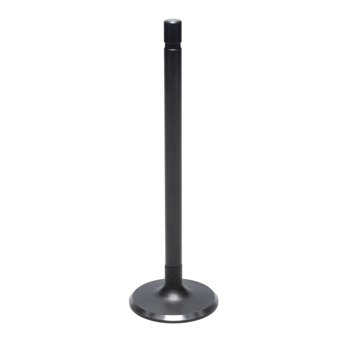 Intake Valve