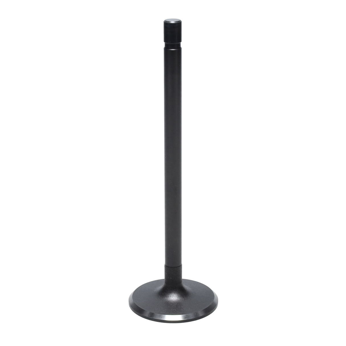 Intake Valve