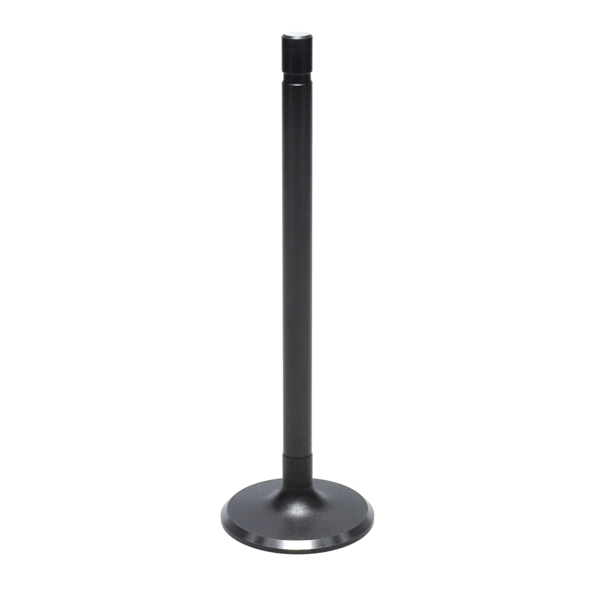 Intake Valve