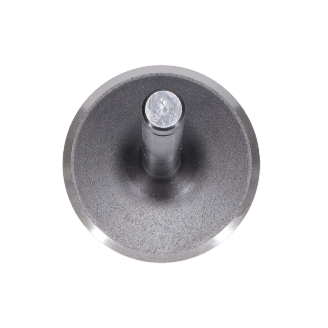 Intake Valve