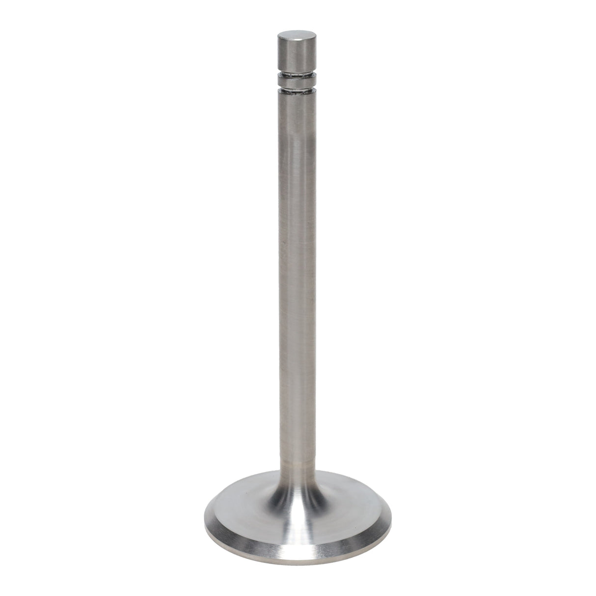 Intake Valve
