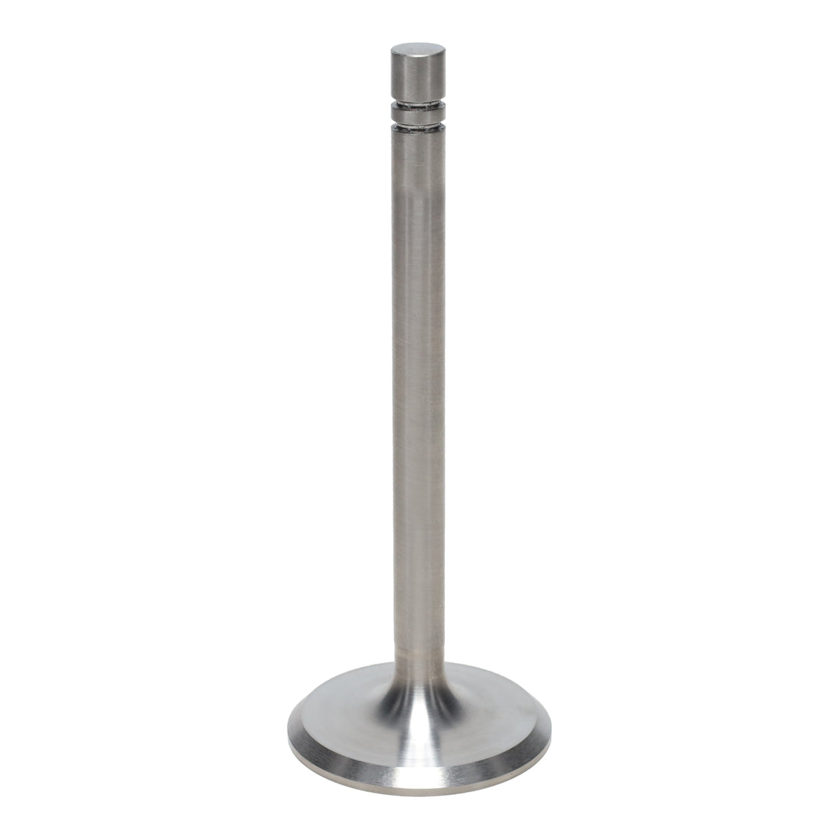 Intake Valve