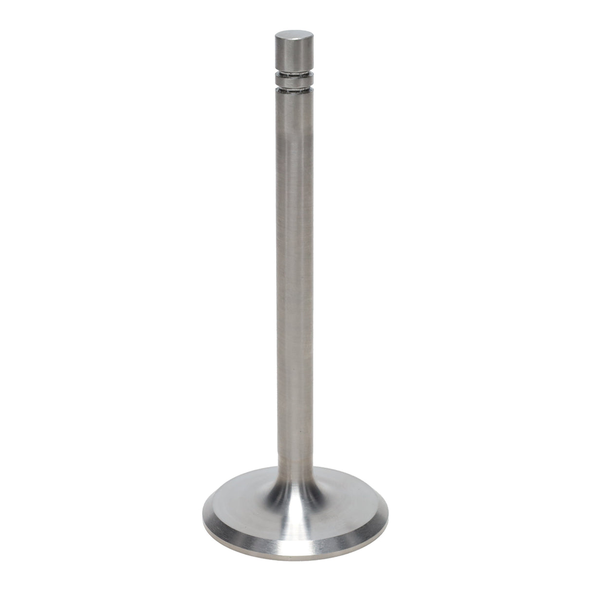 Intake Valve