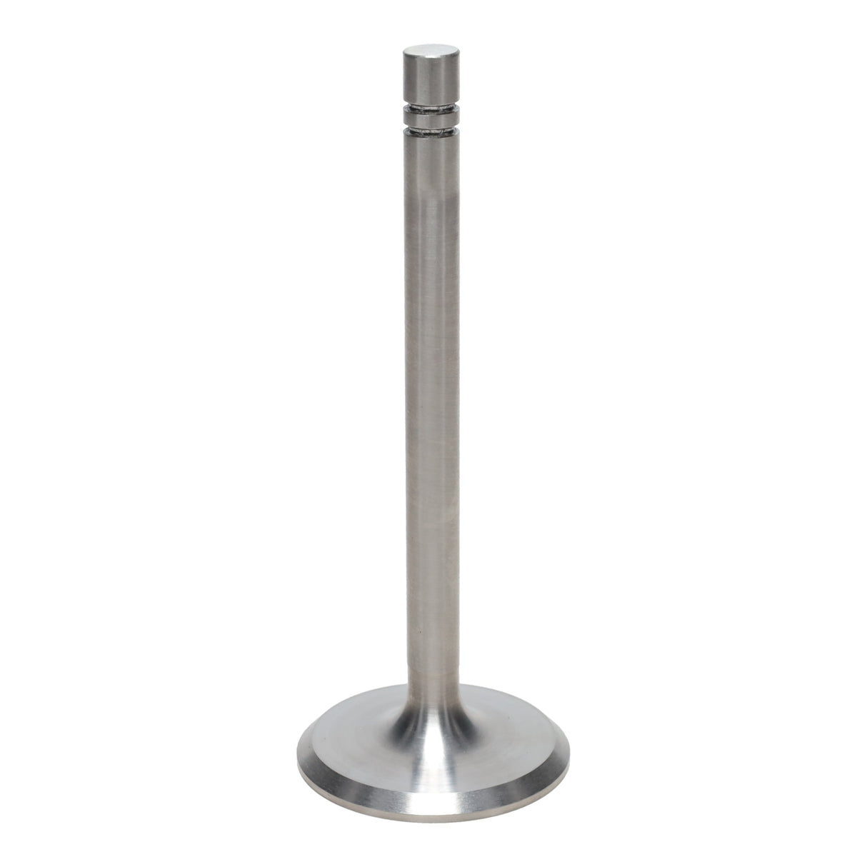 Intake Valve