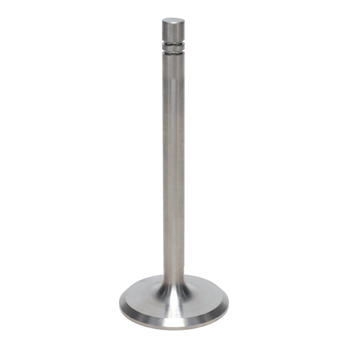 Intake Valve