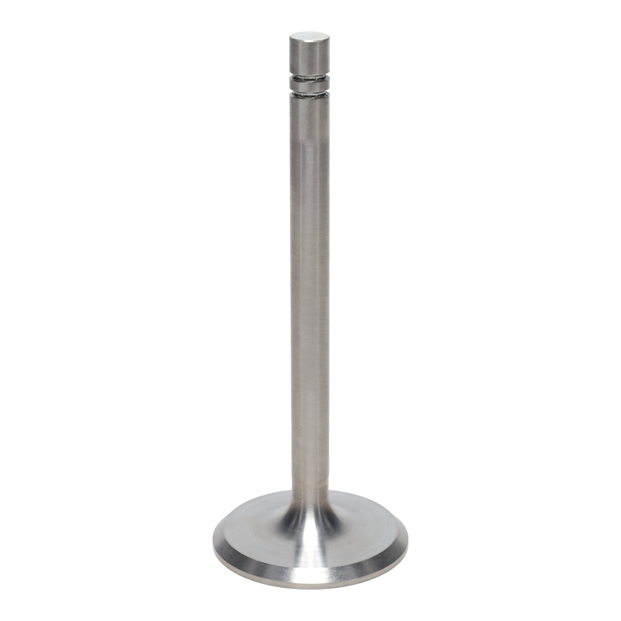 Intake Valve