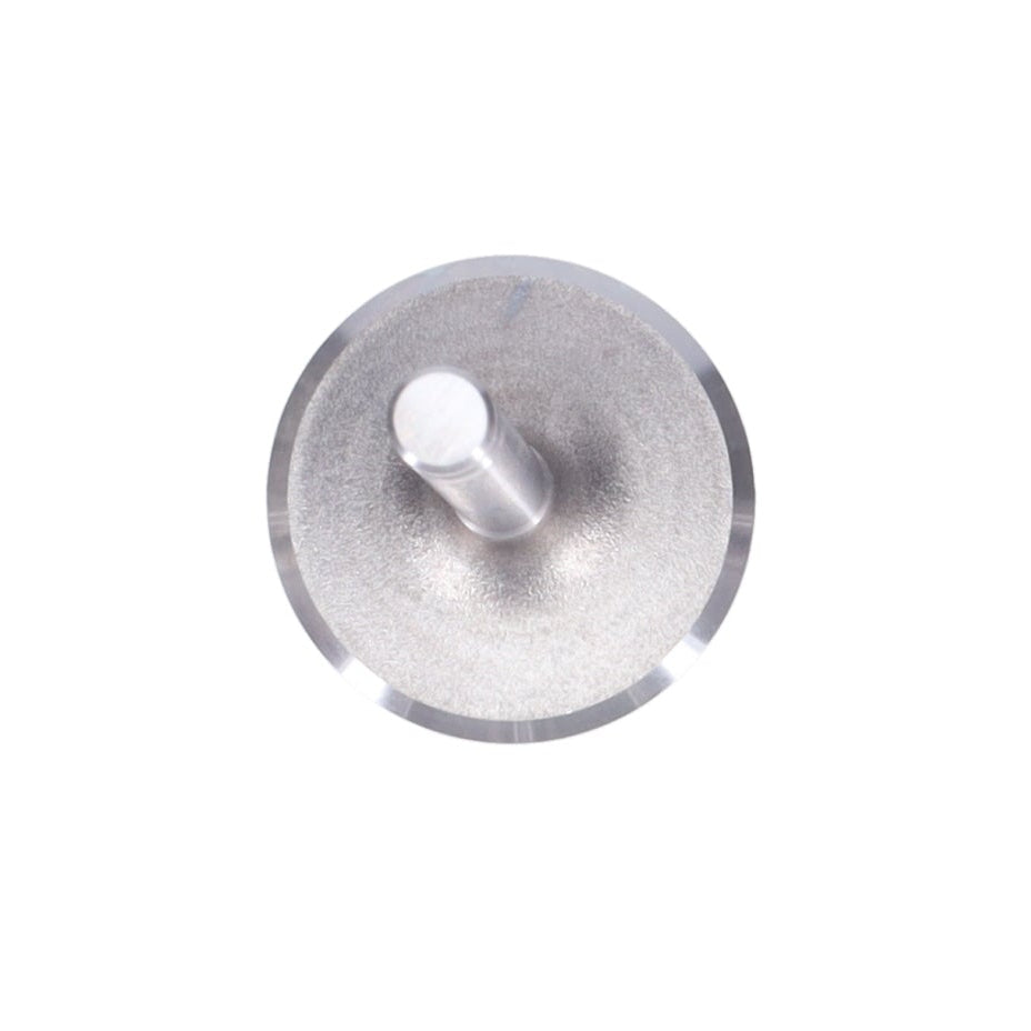 Intake Valve
