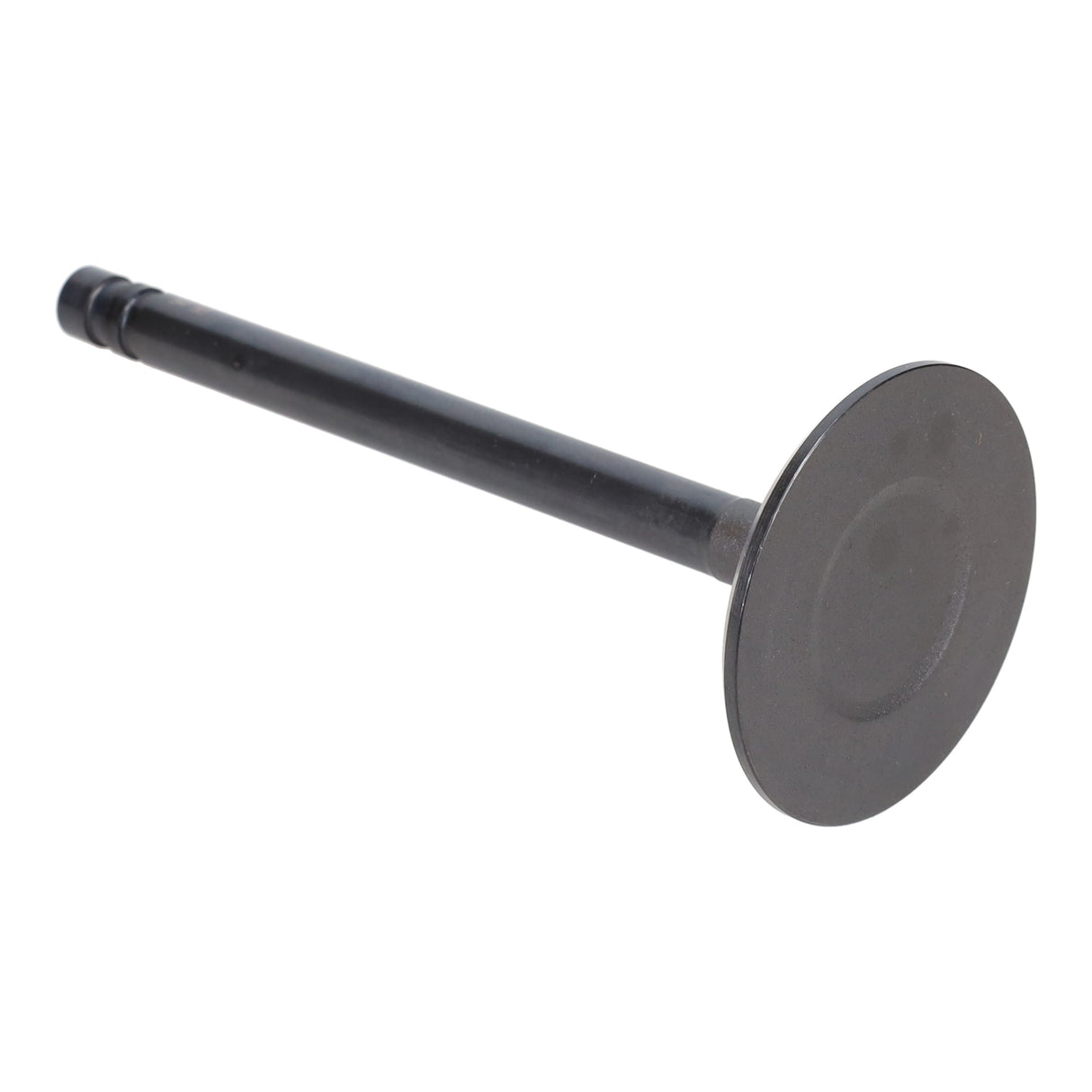 Intake Valve