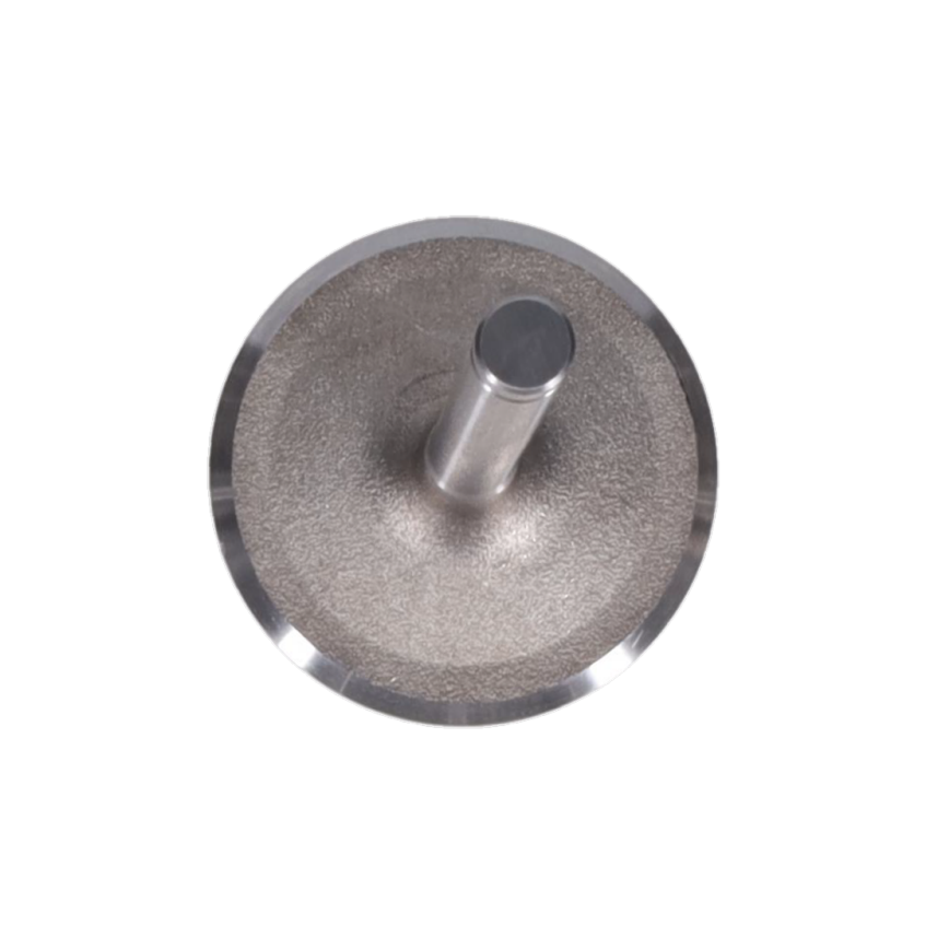 Intake Valve