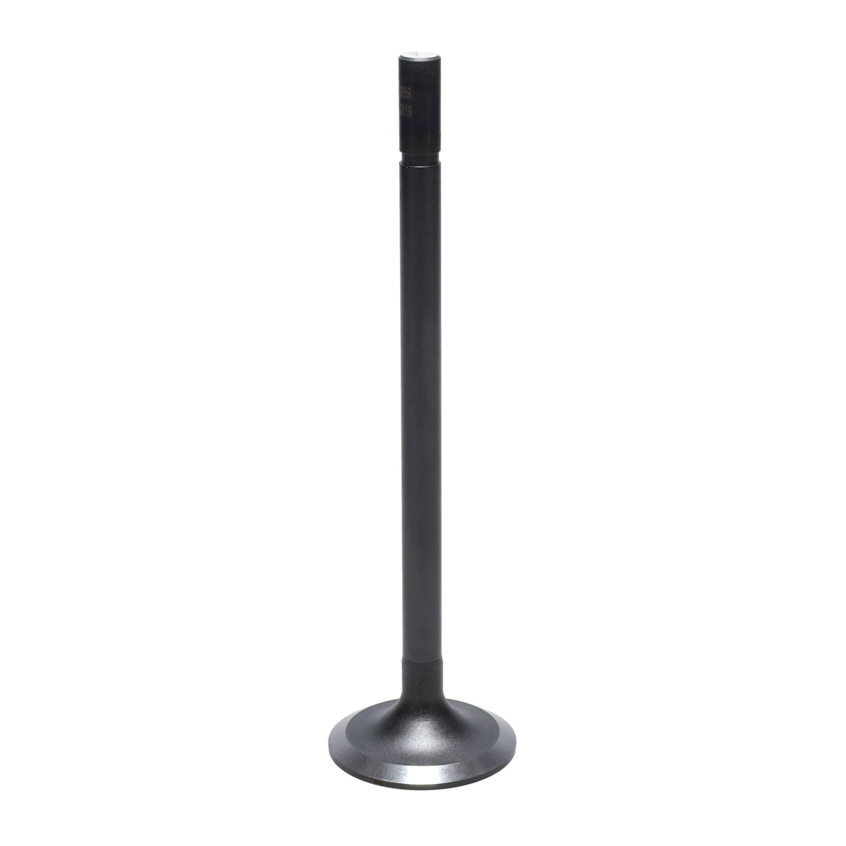 Intake Valve