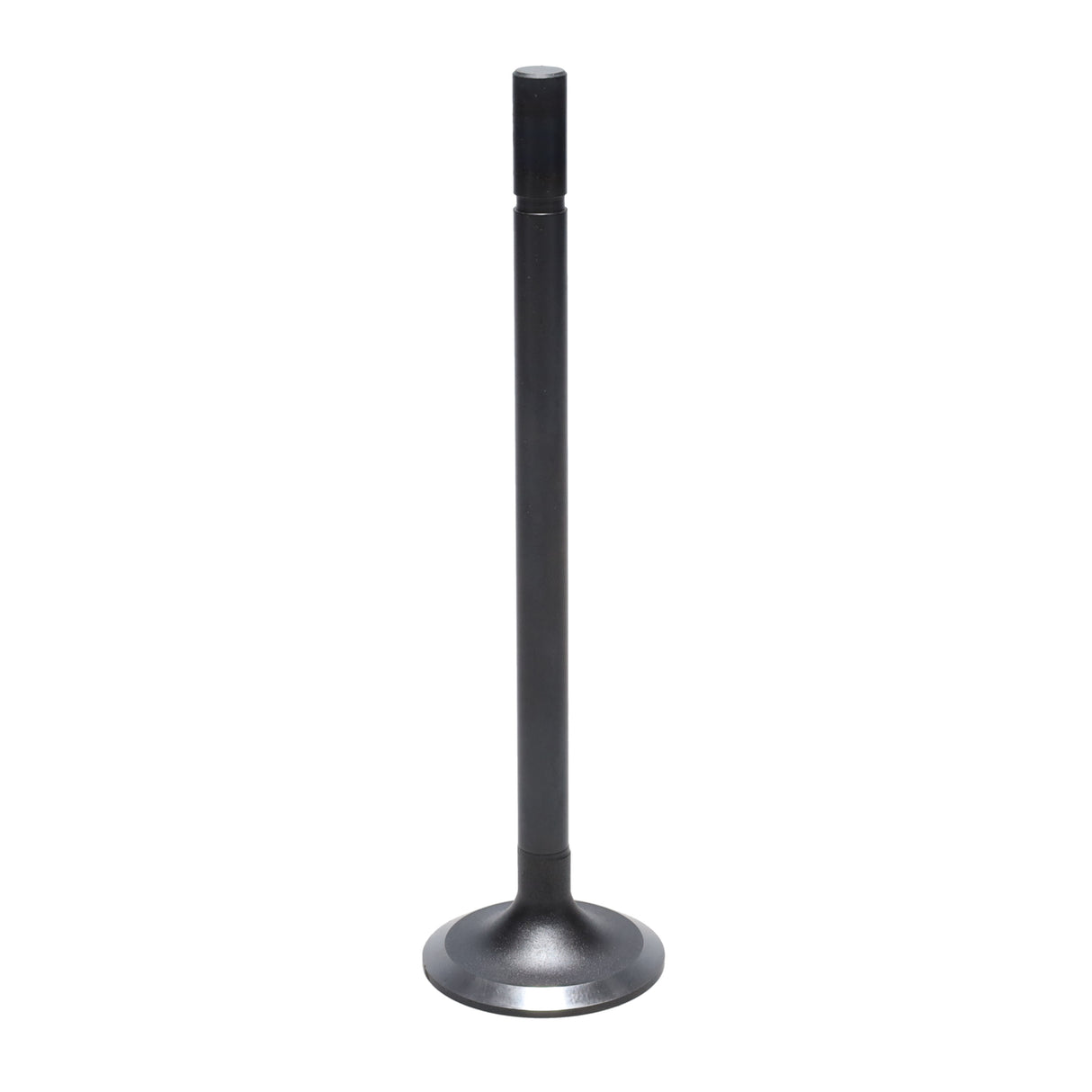 Intake Valve