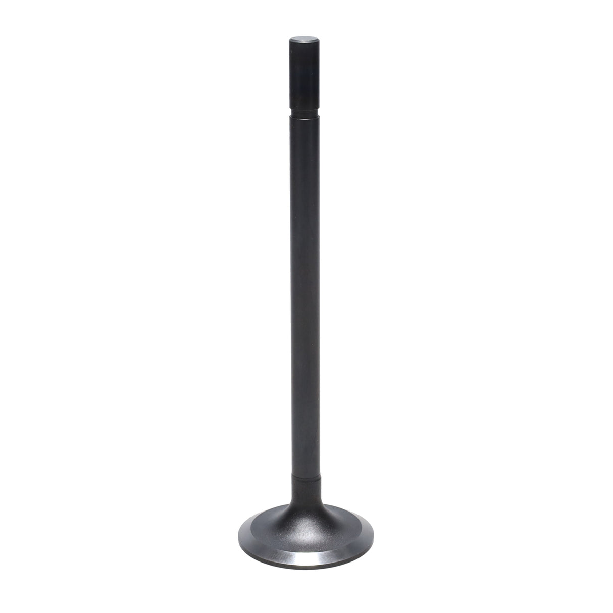 Intake Valve