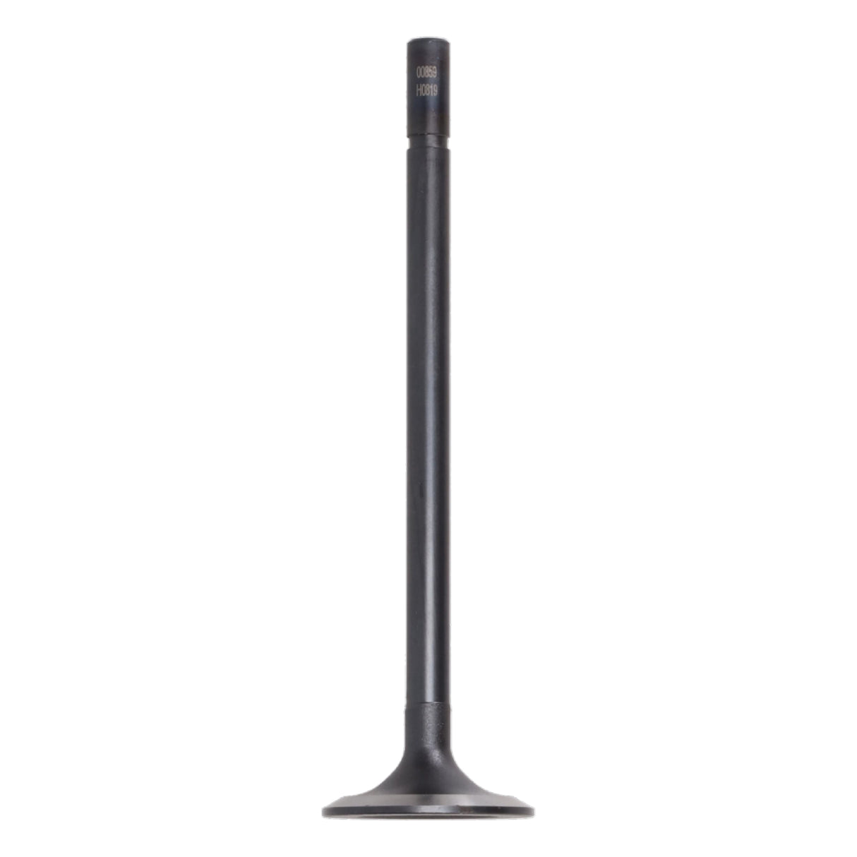 Intake Valve