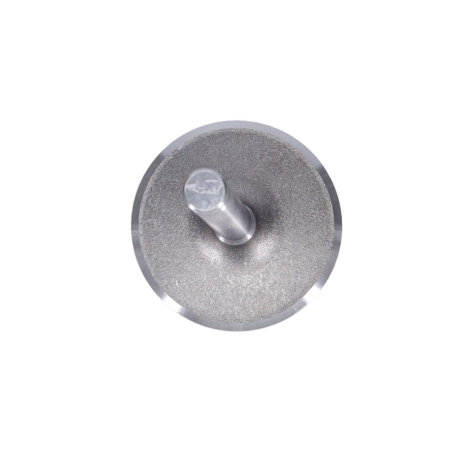 Intake Valve