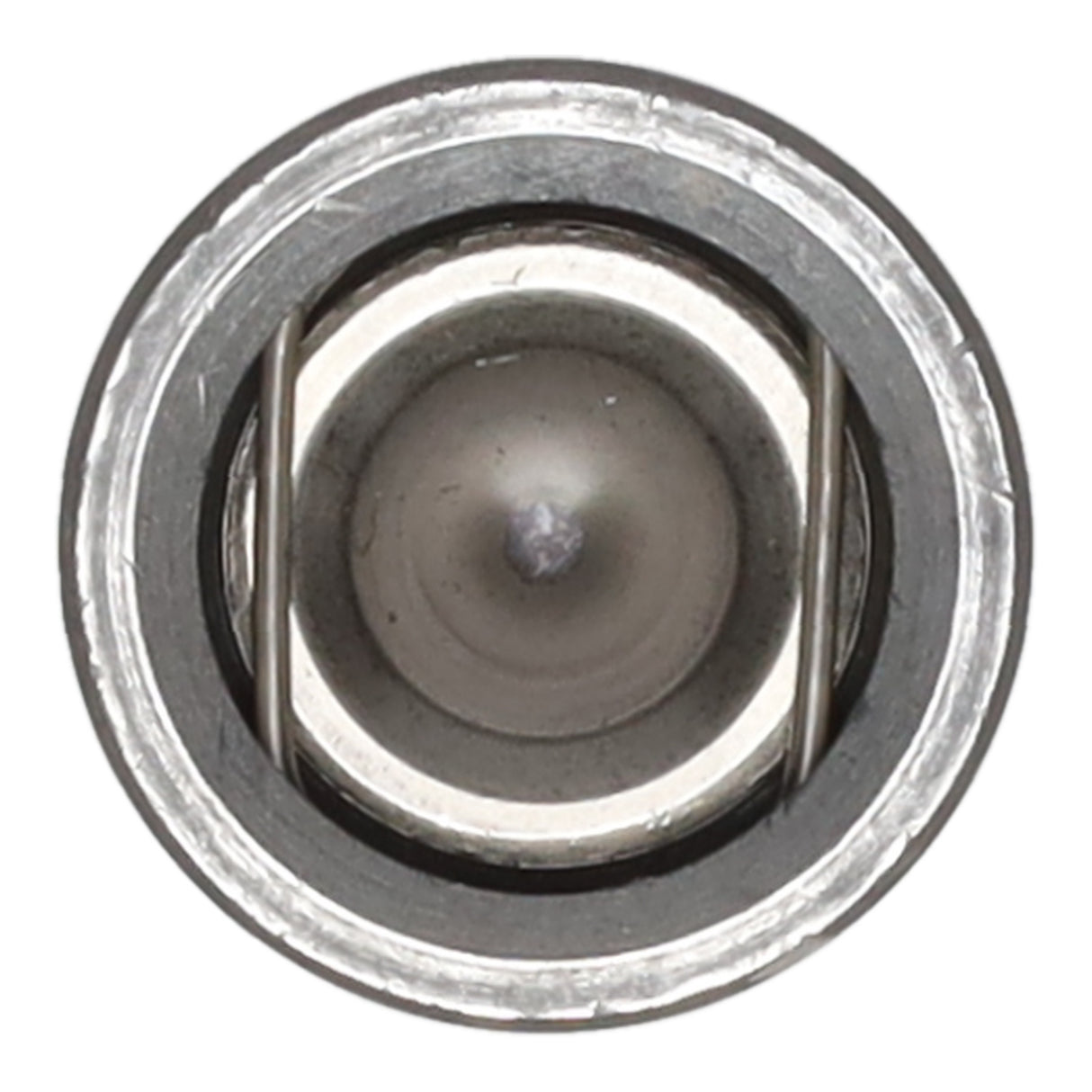Valve Lifter
