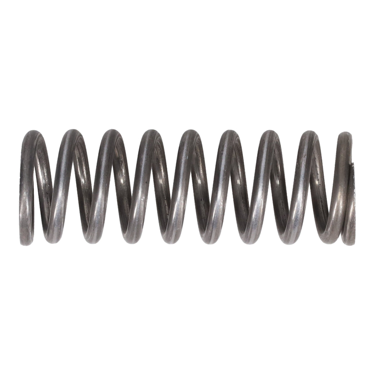 Valve Spring