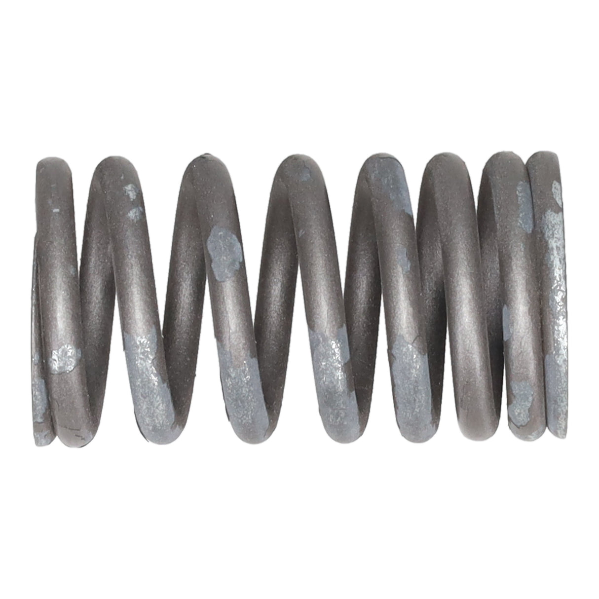Valve Spring