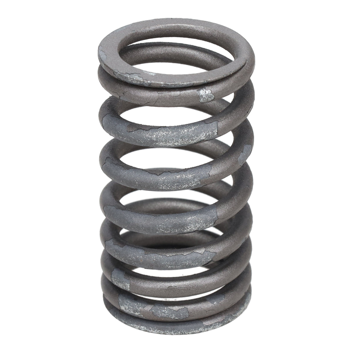Valve Spring