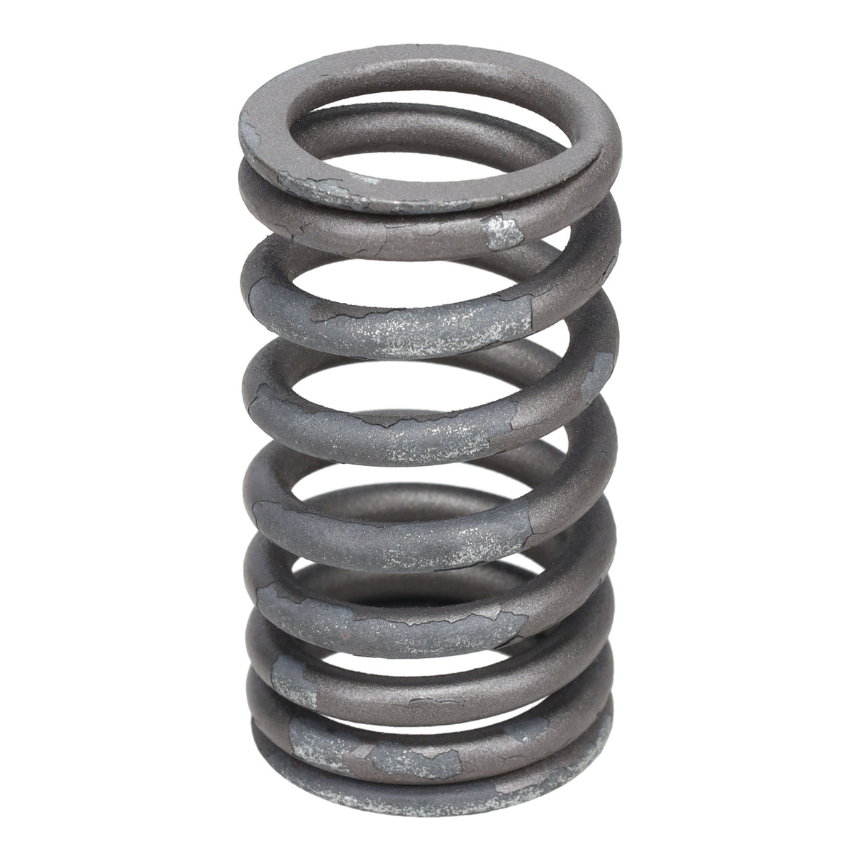 Valve Spring