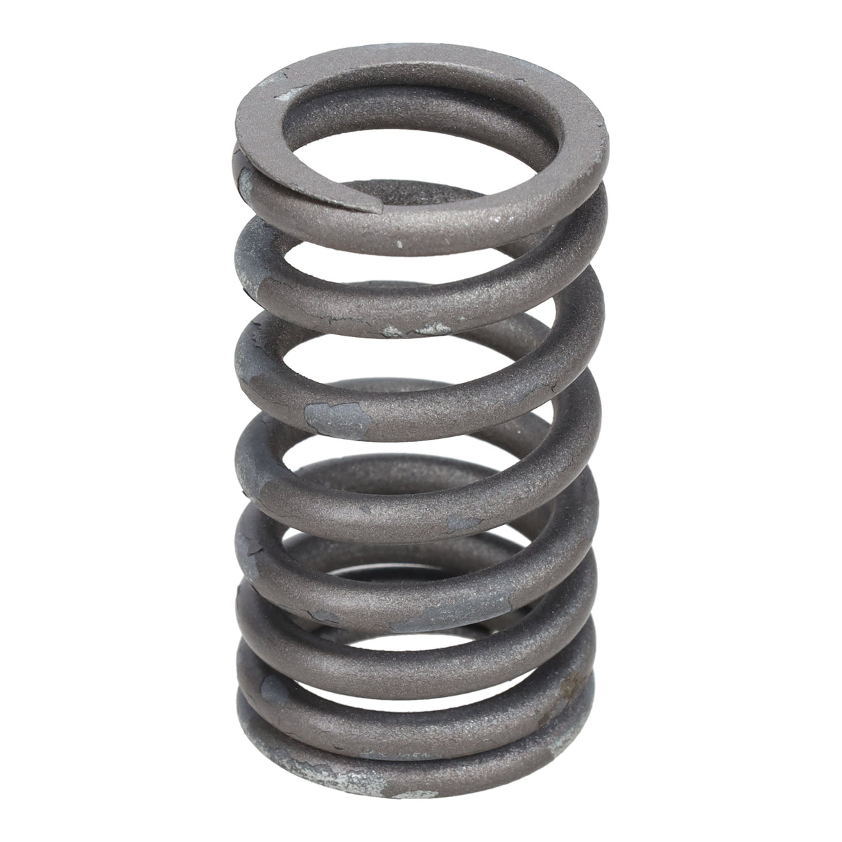 Valve Spring