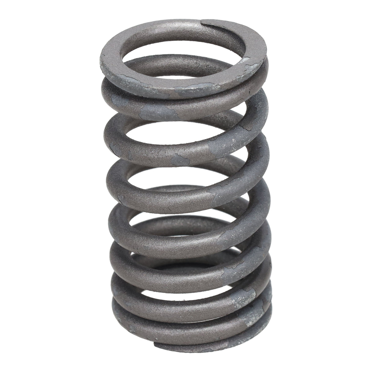 Valve Spring