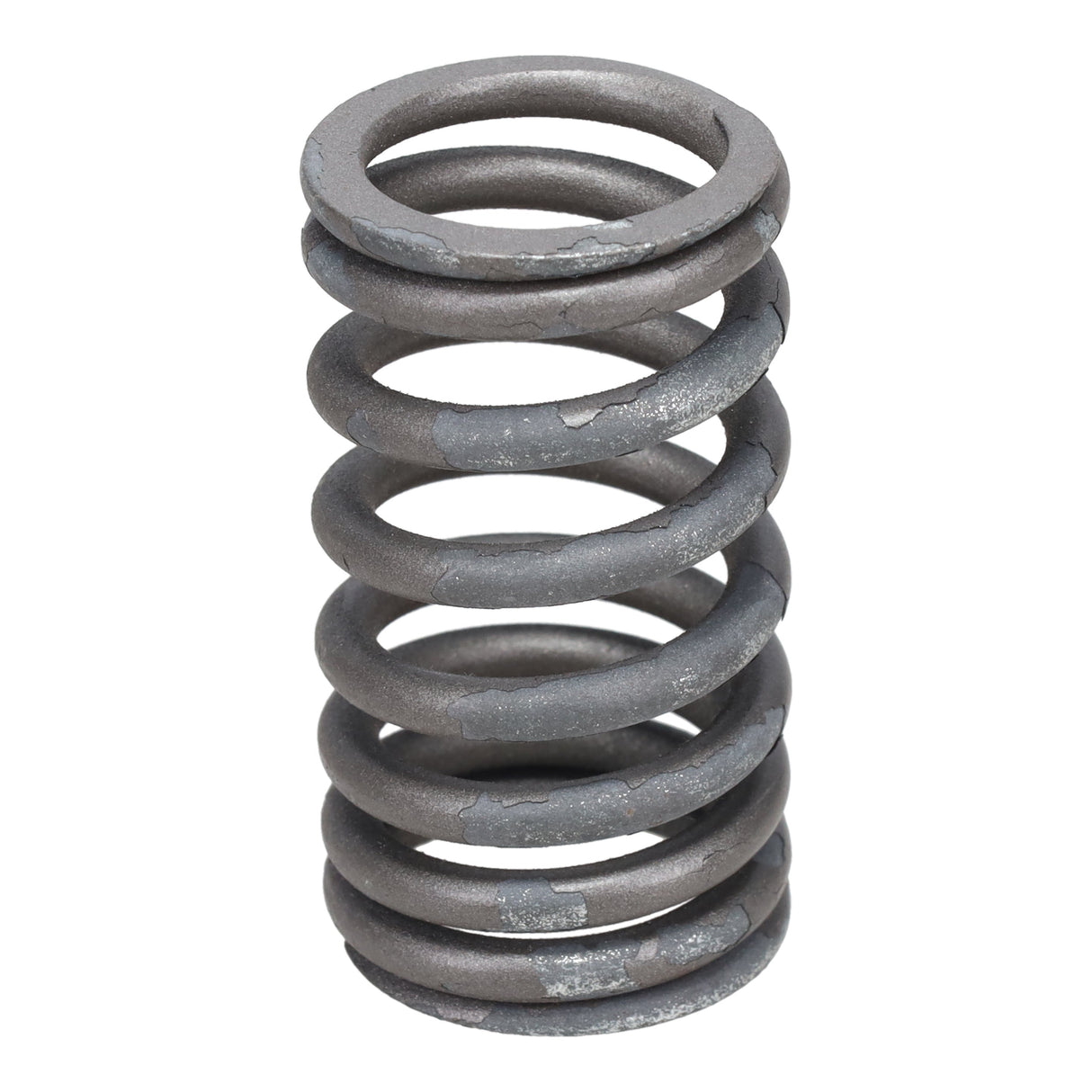 Valve Spring