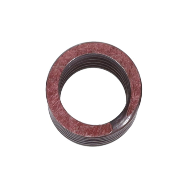 Valve Spring