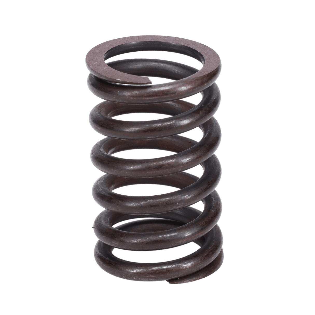 Valve Spring