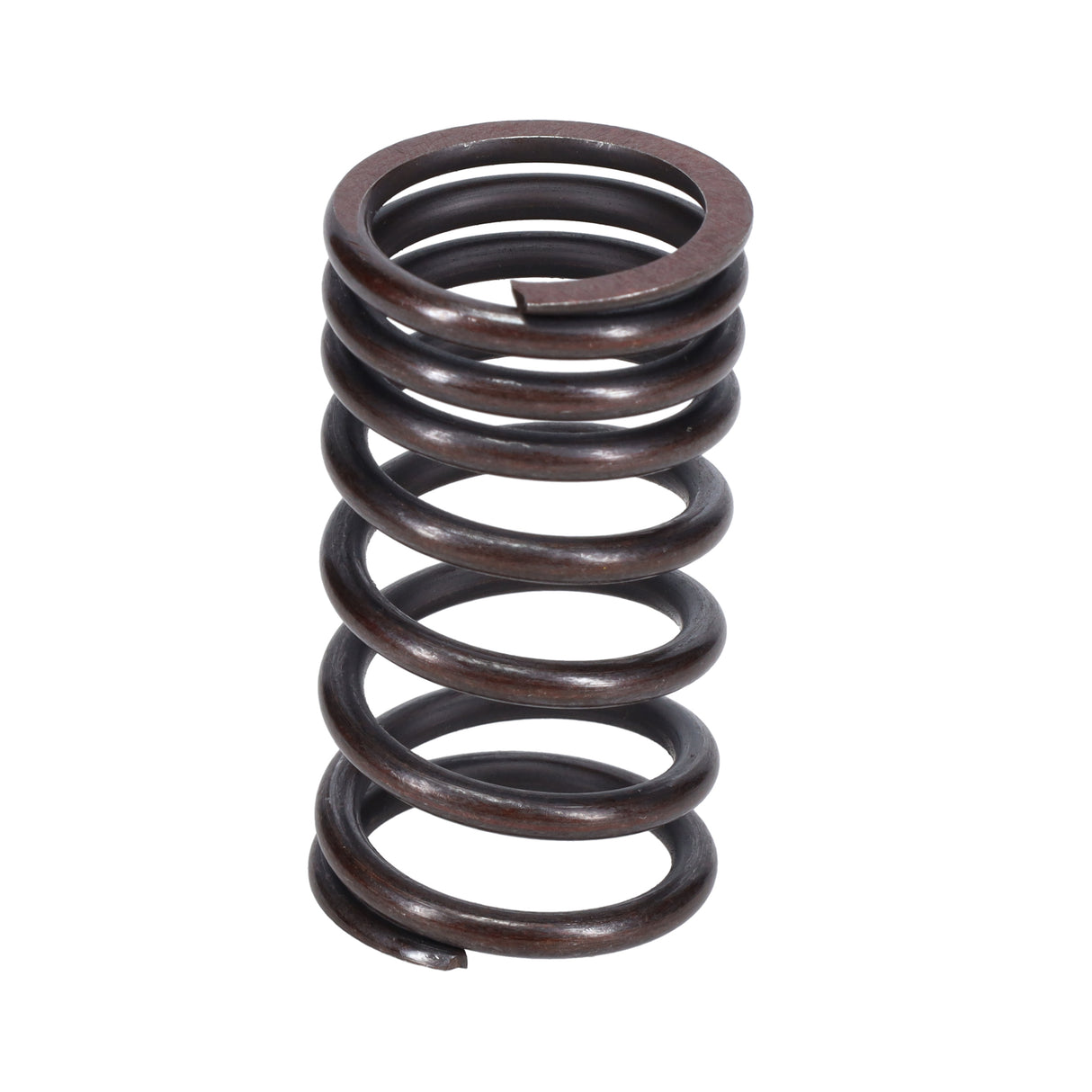 Valve Spring