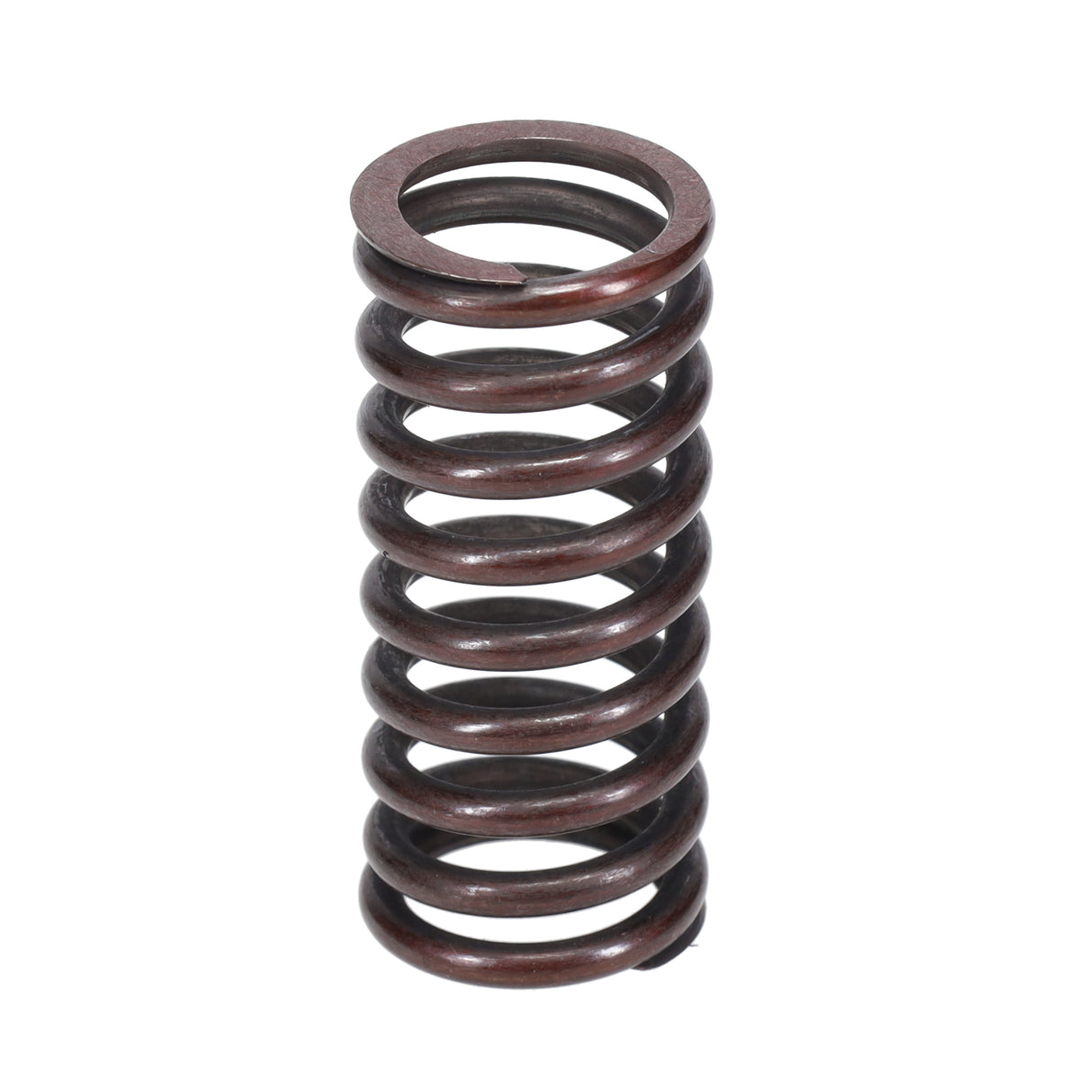 Valve Spring