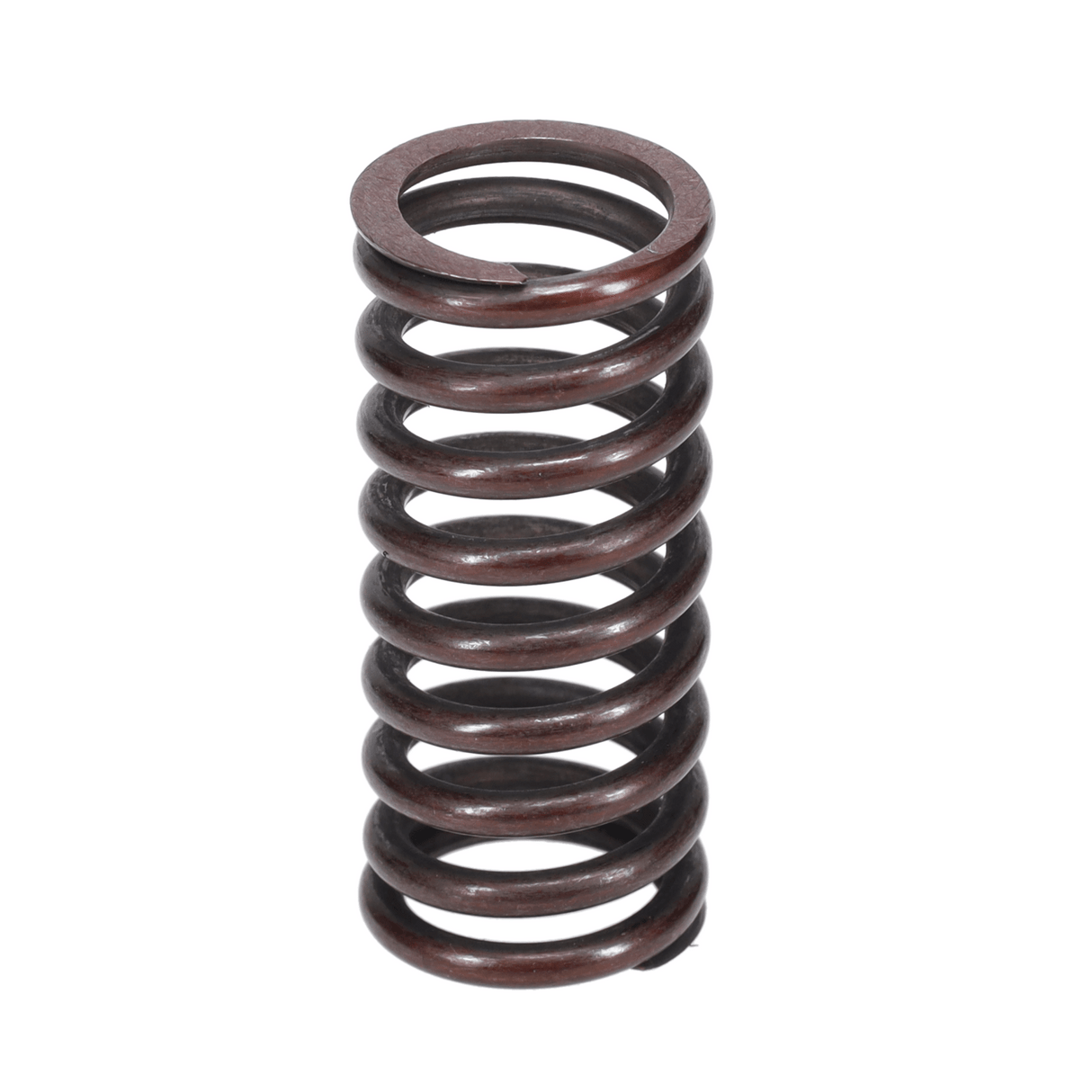 Valve Spring