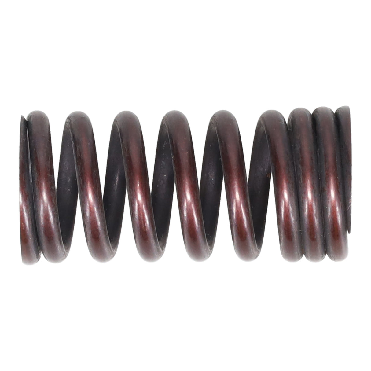 Valve Spring