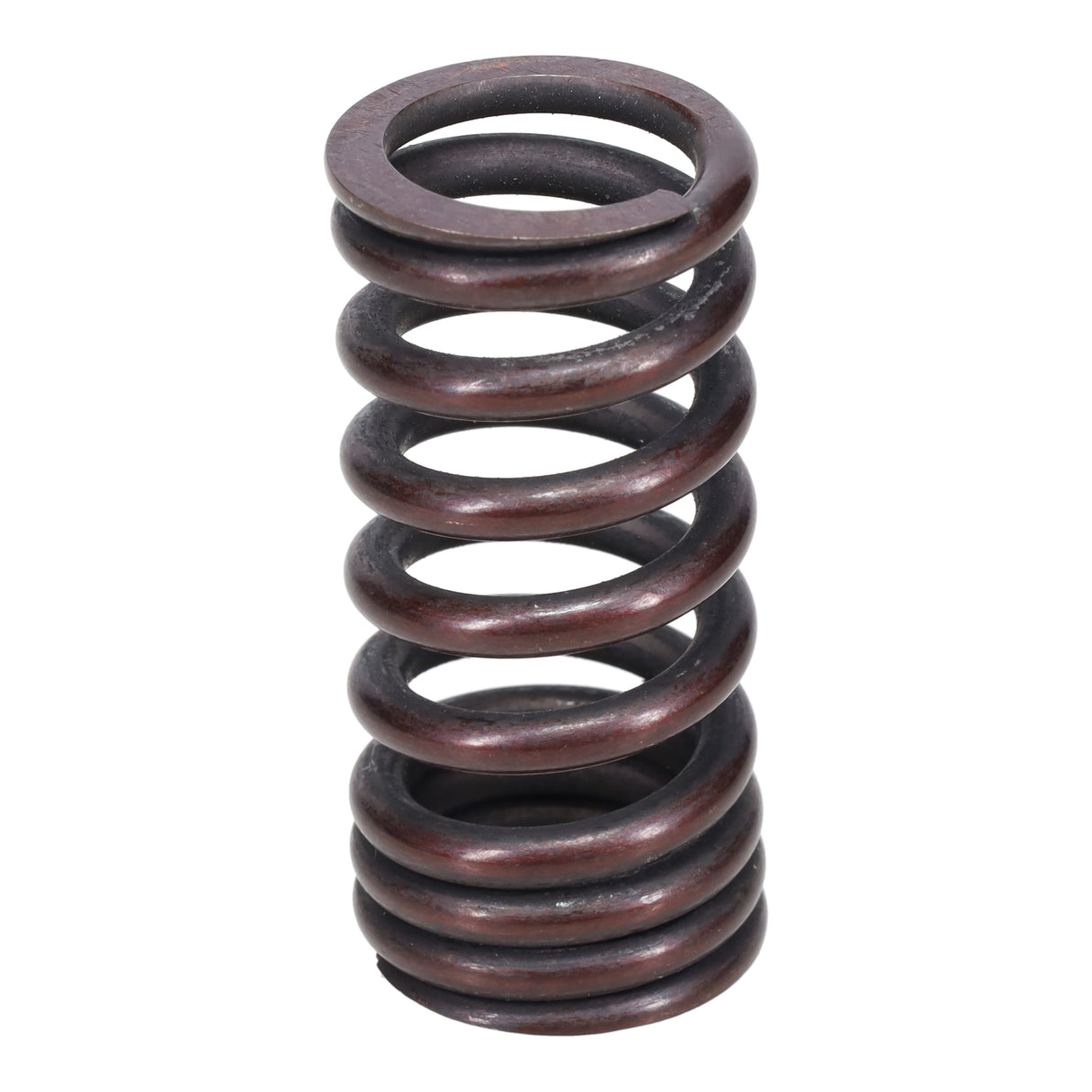 Valve Spring