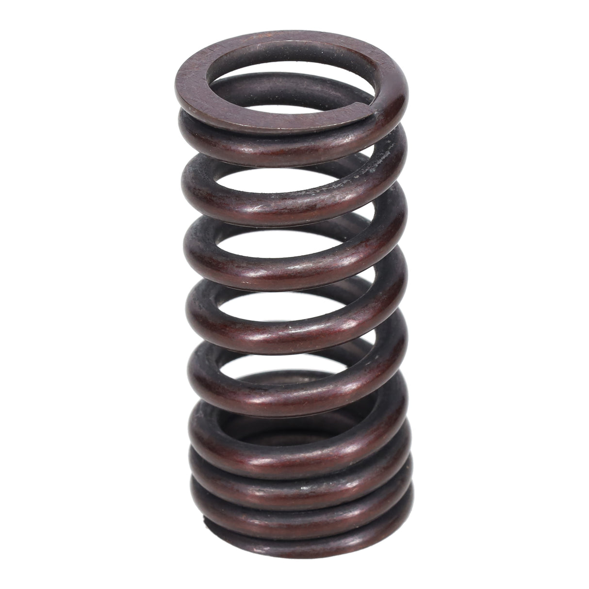 Valve Spring