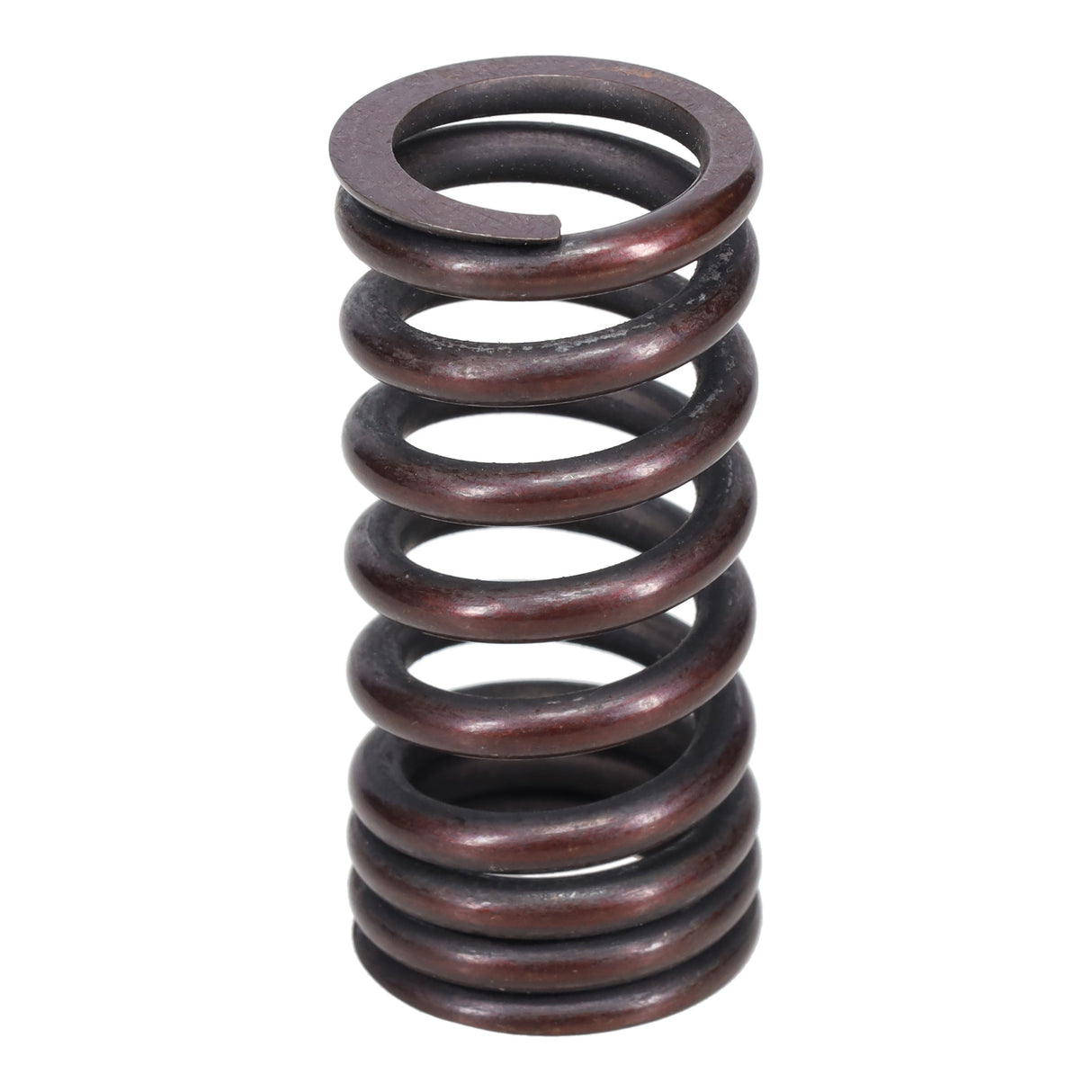 Valve Spring