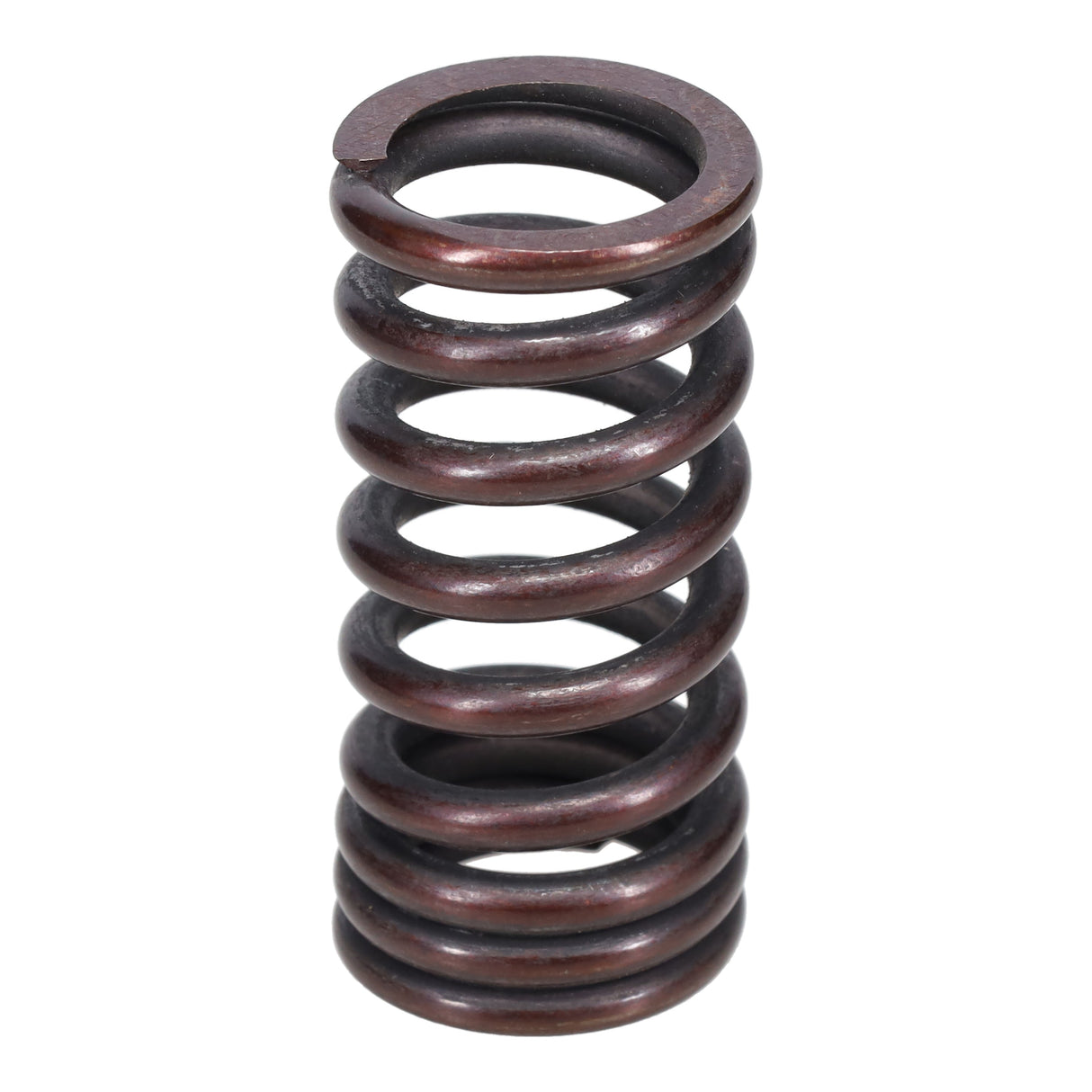 Valve Spring