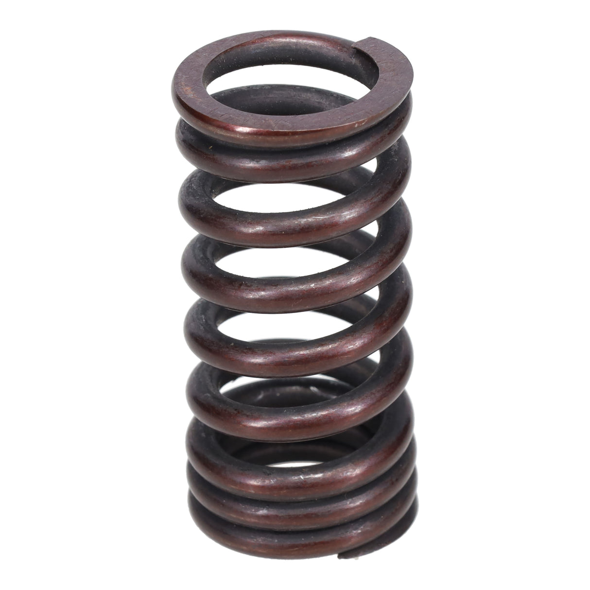 Valve Spring