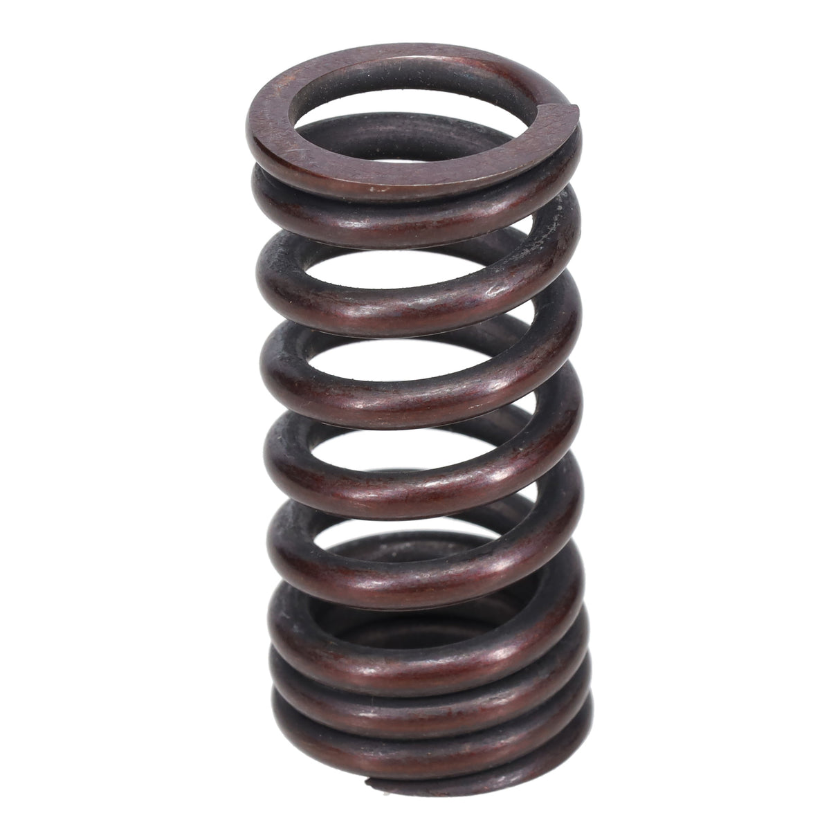 Valve Spring