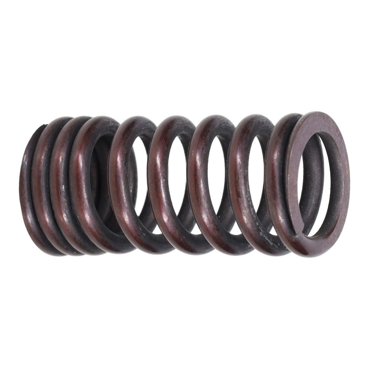 Valve Spring