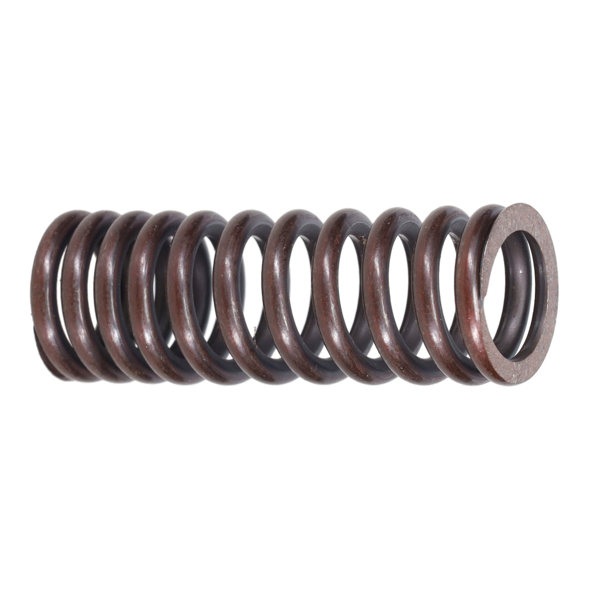 Valve Spring