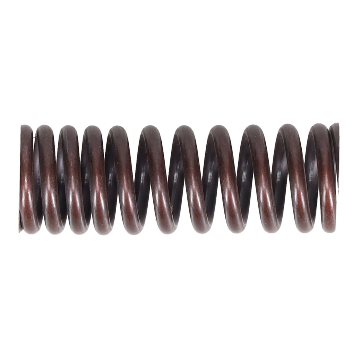 Valve Spring